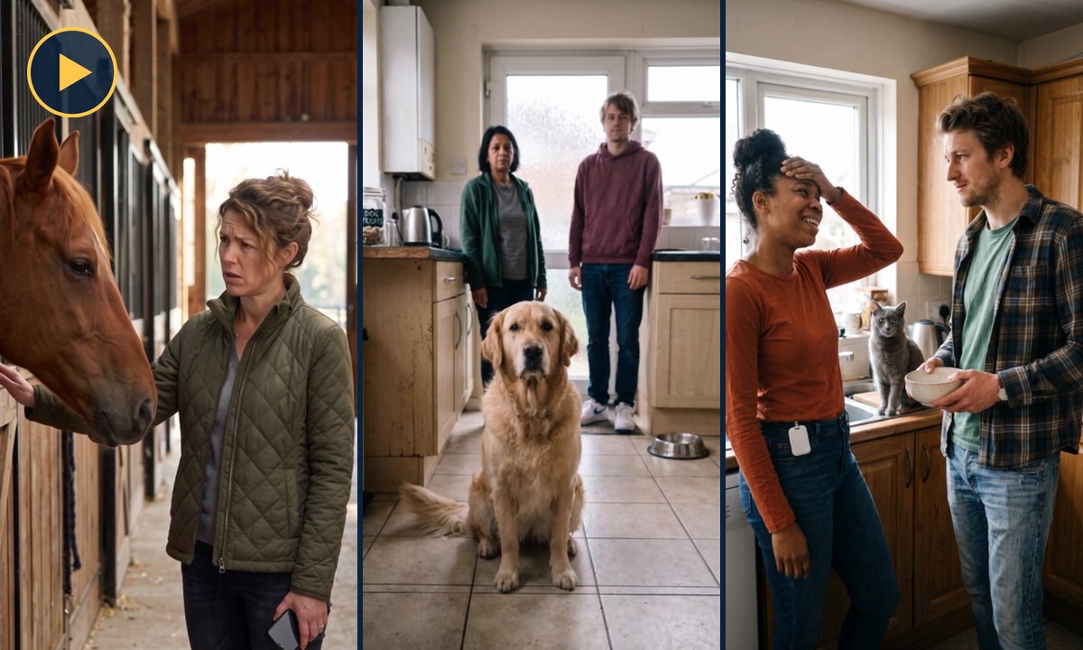 Three stills from the Ask Fernando short films &mdash; a woman with her horse, a dog in a kitchen doorway, a couple and their cat